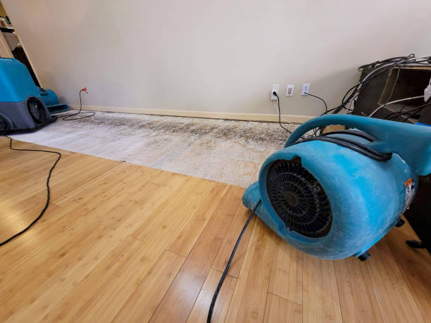 Professional Water Removal technician working in Wingett Run, OH